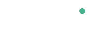 NUFI Numedal Fiber